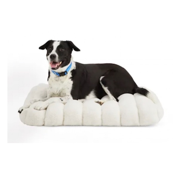 Brand new every Yay Snooze Fest Dog Bed